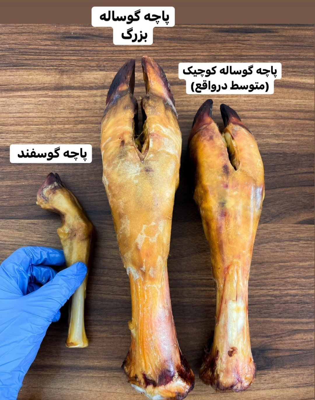 تشویقی پاچه گوساله دهیدراته